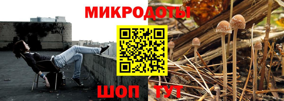 Галлюциногенные грибы MAGIC MUSHROOMS  Вход с VPN  Канаш 